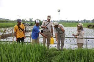 Program Pemutihan Sertipikat Tanah? Kementerian ATR/BPN Tegaskan Tidak Ada