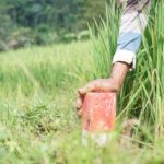 Jaga Batas Tanah Langkah Awal Cegah Konflik Antartetangga