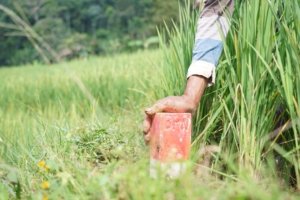 Jaga Batas Tanah Langkah Awal Cegah Konflik Antartetangga