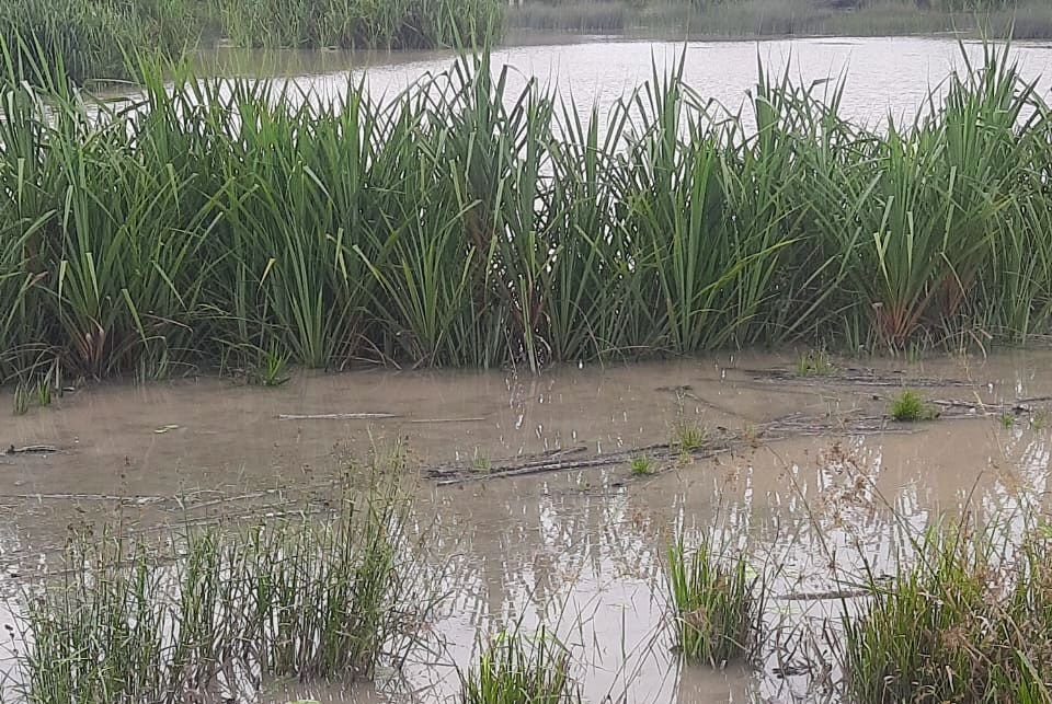 Ternyata Tambang Ilegal di PDAM Gantung Berlangsung Malam Hari