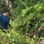 Pria 21 Tahun Ditemukan Meninggal Tergantung di Desa Lenggang