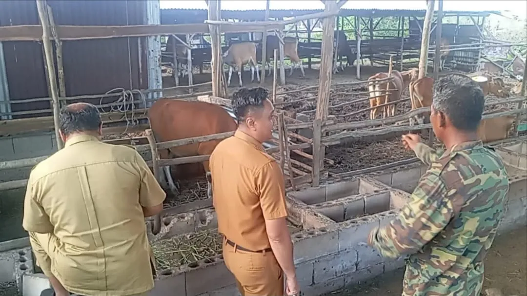 Bangkit dari Kendala, Peternakan Warga Gantung Kini Tumbuh dan Menjanjikan