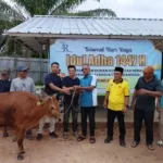 Wujud Kepedulian Sosial, CV. Traders Mining Tin Babel Berbagi Kurban dan Beras di Desa Gantung